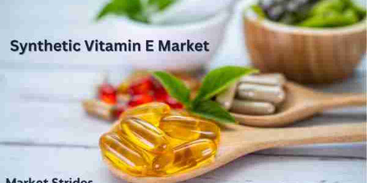 Synthetic Vitamin E Market Industry Report 2025-2033: Future Trends and Growth Analysis