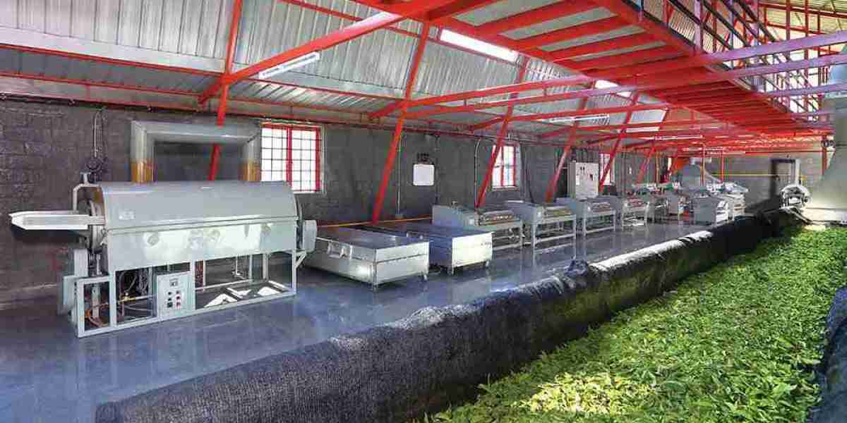 Detailed Plant Setup Report on Tea Processing Includes Business Plan, Layout and Cost Analysis